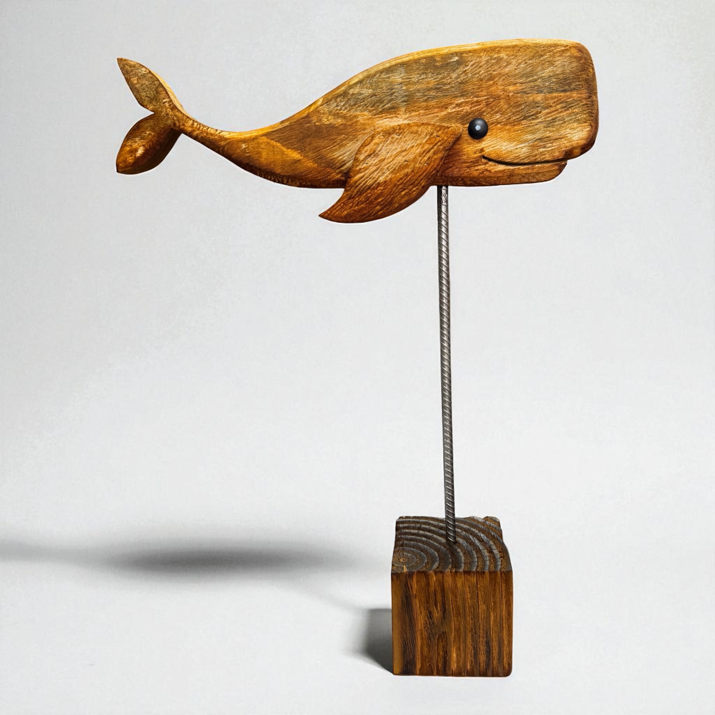 Ballena Humboldt